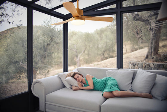 110V 220VDC 35W Metal And Wood Ceiling Fan Light For Living Room