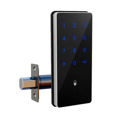 Hot Sale Mini Electric Locker Lock Smart Remote Control Lock Gym Storage Box Lock