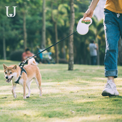 5M Long Extendable Dog Leash Traction Dorsal Automatic Retractable Dog Leash