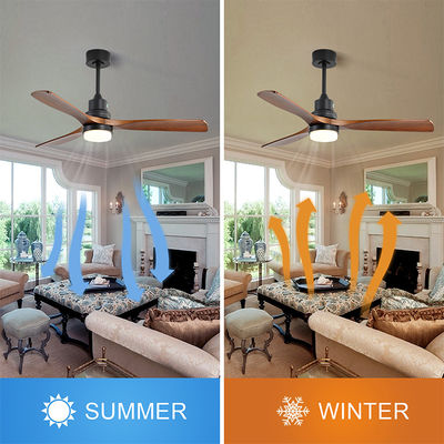 Dimmable AC/DC120V 65W Smart Ceiling Fan With Light And Remote 3 Speed