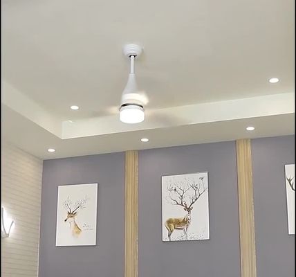 Modern Style 75w ABS Blade Ceiling Fan