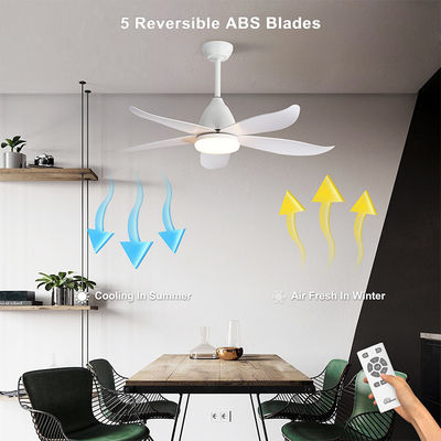 Fancy Iron 3000K 35W 5 ABS Blade Ceiling Fan Lamp Big Natural Style