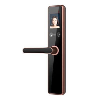 40mm-90mm Face Recognition Smart Lock
