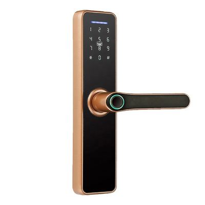 Rosh Ttlock Tuya App Smart Electronic Lock Wifi Password Lock