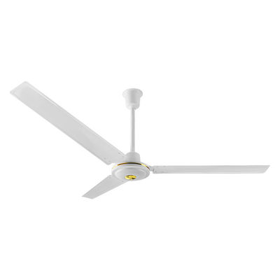 Ceiling Fan Delux Model Less Price and Best Quality Metal Fan Comercial Using
